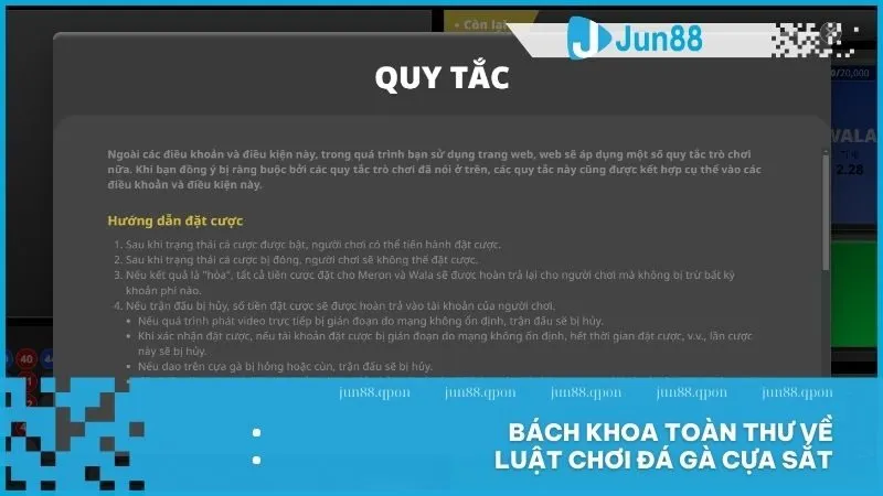 Đá gà cựa sắt tại Jun88 – Hồi hộp từng cú đá, chiến thuật đỉnh cao 4 Bách khoa toàn thư về luật chơi đá gà cựa sắt