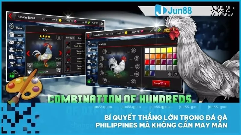 Đá gà Philippines – Trải nghiệm đấu trường mãnh liệt và tỷ lệ cược hấp dẫn 5 Bí quyết thắng lớn trong đá gà Philippines mà không cần may mắn