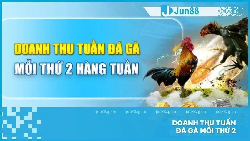 Khuyến Mãi 14 Doanh thu tuần đá gà mỗi thứ 2