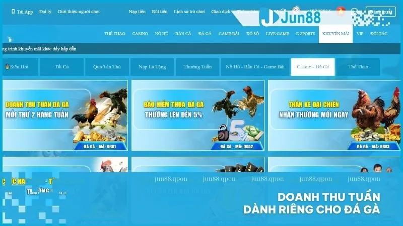 Đá Gà 10 Doanh thu tuần dành riêng cho Đá Gà