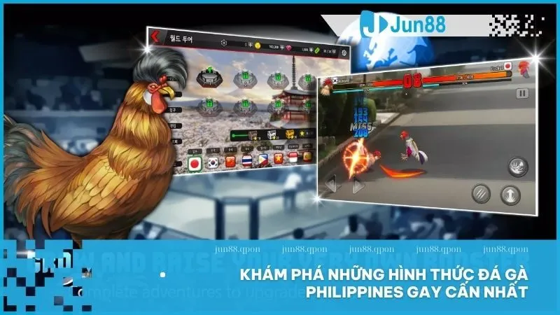 Đá gà Philippines – Trải nghiệm đấu trường mãnh liệt và tỷ lệ cược hấp dẫn 3 Khám phá những hình thức đá gà Philippines gay cấn nhất