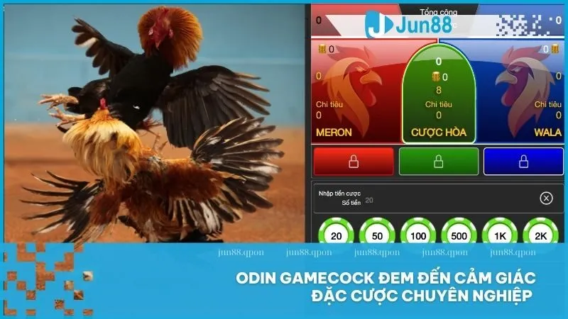 Đá Gà 7 Odin Gamecock đem đến cảm giác đặc cược chuyên nghiệp