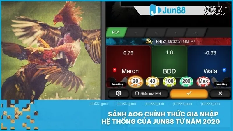 Đá Gà 6 Sảnh AOG chính thức gia nhập hệ thống của Jun88 từ năm 2020