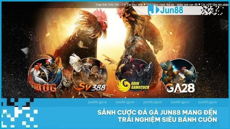 JUN88 - Link Mới Nhất Vào Trang Chủ Nhà Cái JUN88 Chính Thức 5 Sảnh cược đá gà Jun88 mang đến trải nghiệm siêu bánh cuốn
