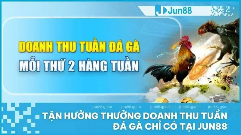 thưởng doanh thu tuần đá gà